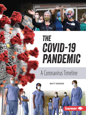 The COVID-19 Pandemic